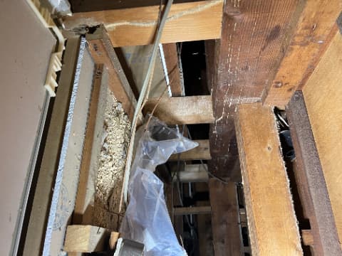 【土佐市】築30年の平屋で「床の軋み」が発生。床下潜入調査で見つけたシロアリ食害の深層と防除の記録