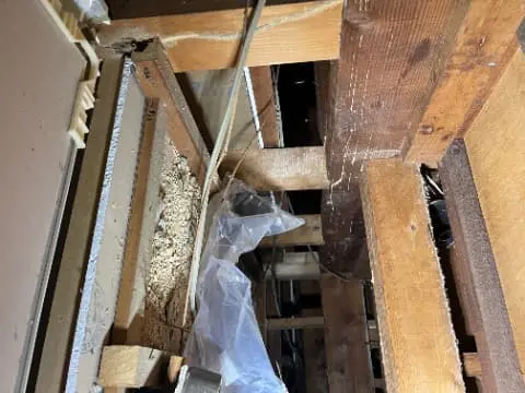 【土佐市】築30年の平屋で「床の軋み」が発生。床下潜入調査で見つけたシロアリ食害の深層と防除の記録
