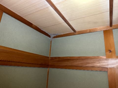 天井を突き破り室内へ侵入！築古木造住宅で放置された「天井裏シロアリ巨大巣」の戦慄と制圧の記録