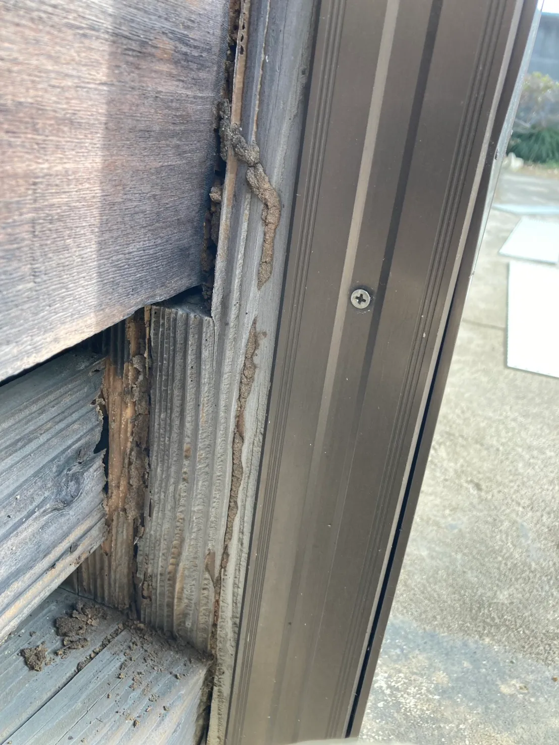 玄関周りの「土の道」は建物崩壊の予兆！外壁隙間に構築された巨大蟻道の撤去と土壌・木部への徹底防蟻施工