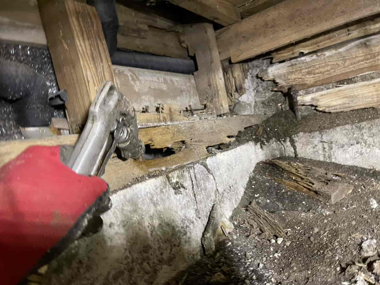 東京都立川市｜本棚から溢れ出た羽アリと謎の木屑。点検口新設から挑んだ床下全域の徹底駆除と換気改善記録