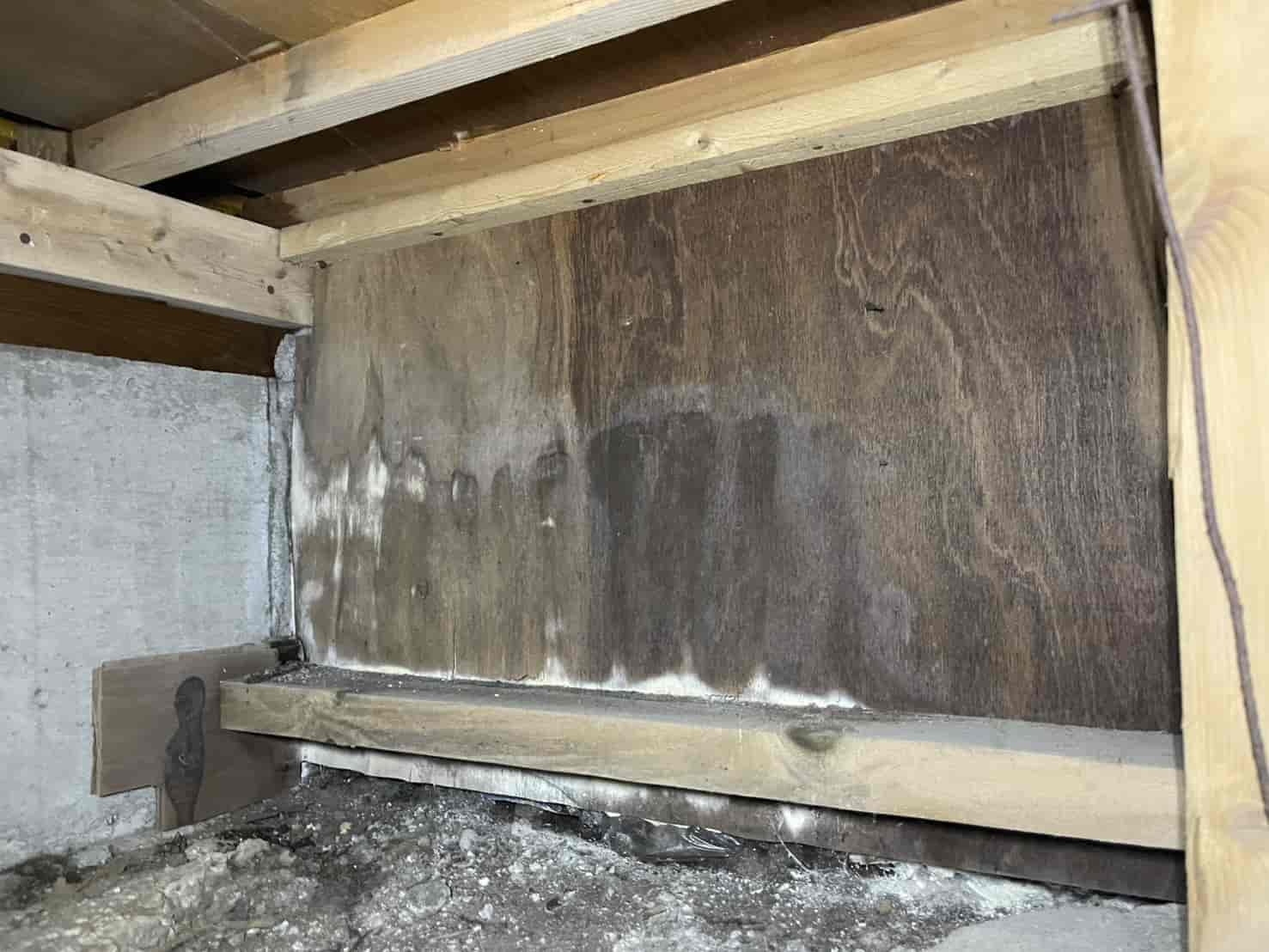 神奈川県相模原市｜勝手口から響く「カサカサ」という異音の正体。空洞化したドア枠と基礎に這う蟻道への精密穿孔・防除バリア施工