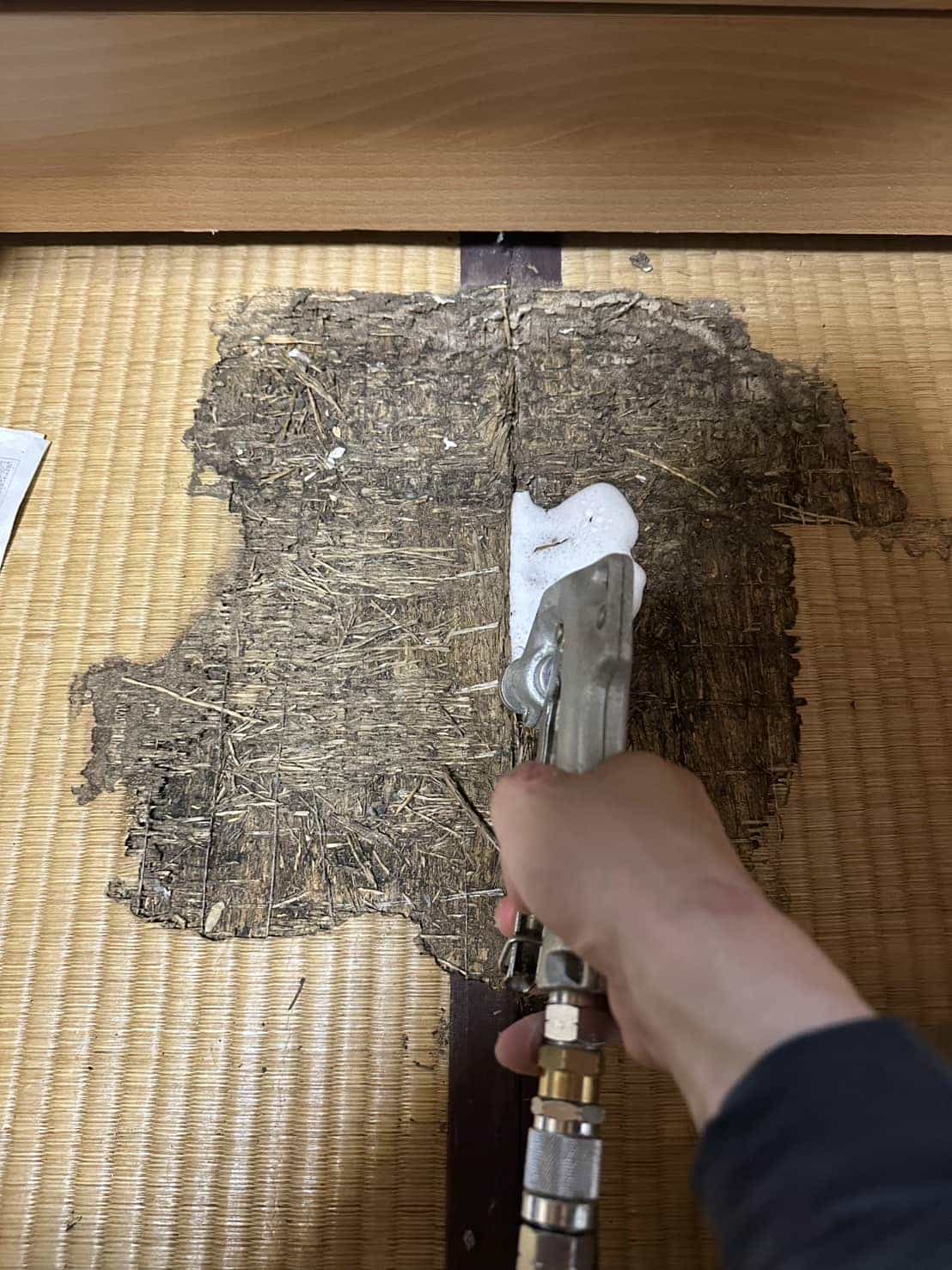 大阪府吹田市｜畳の変色と沈みが告げるSOS。難所・狭所を突破する「基礎拡幅」と「上部穿孔注入」による徹底防除録