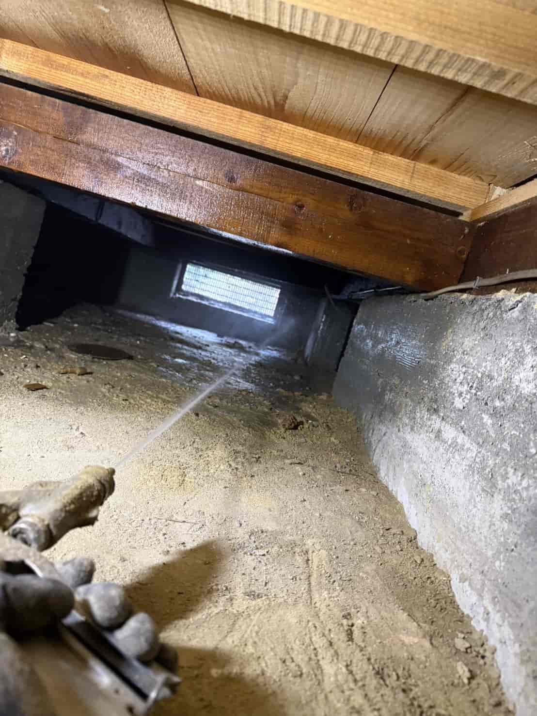 京都市右京区｜実家のDIYリフォーム中に発覚した広範囲な蟻害。断熱材カットとスラブ穿孔注入で挑む、構造深部の徹底防除記録