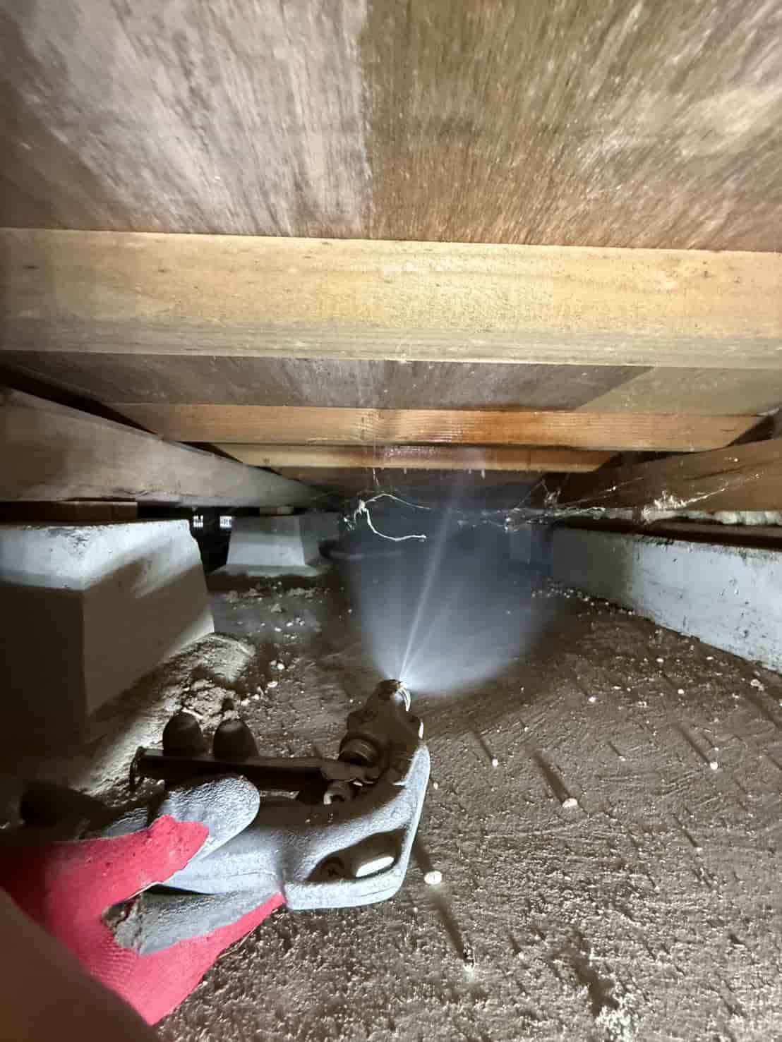 徳島県徳島市｜5年前の「駆除」から、賢い「予防」へ。薬剤効果の節目に行う『更新施工』で住まいの資産価値を継続ガード