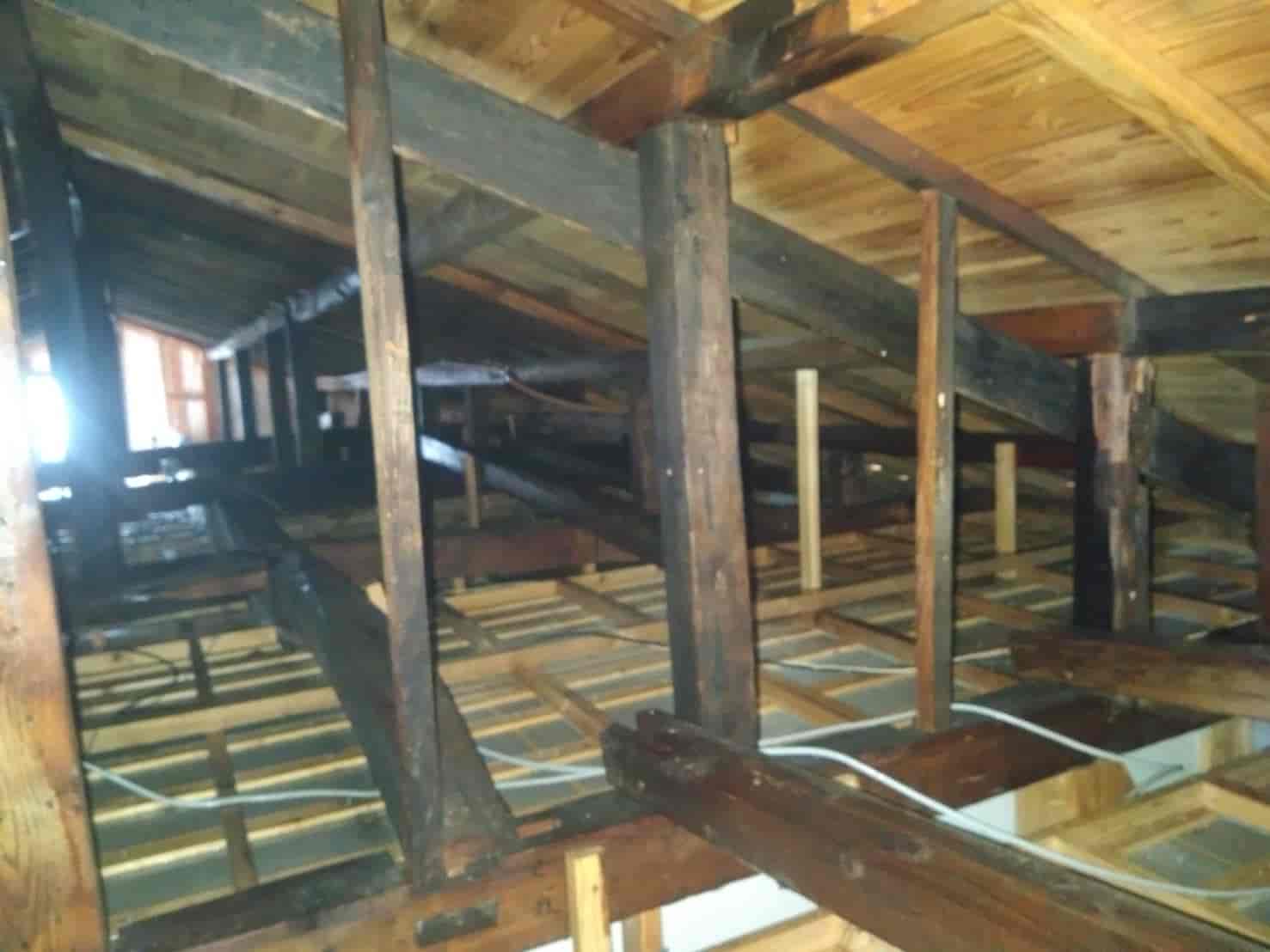 熊本県人吉市｜天井を突き抜け屋根裏まで。巨大勢力「イエシロアリ」の猛威を断つ建物全体の総力駆除と構造補強記録