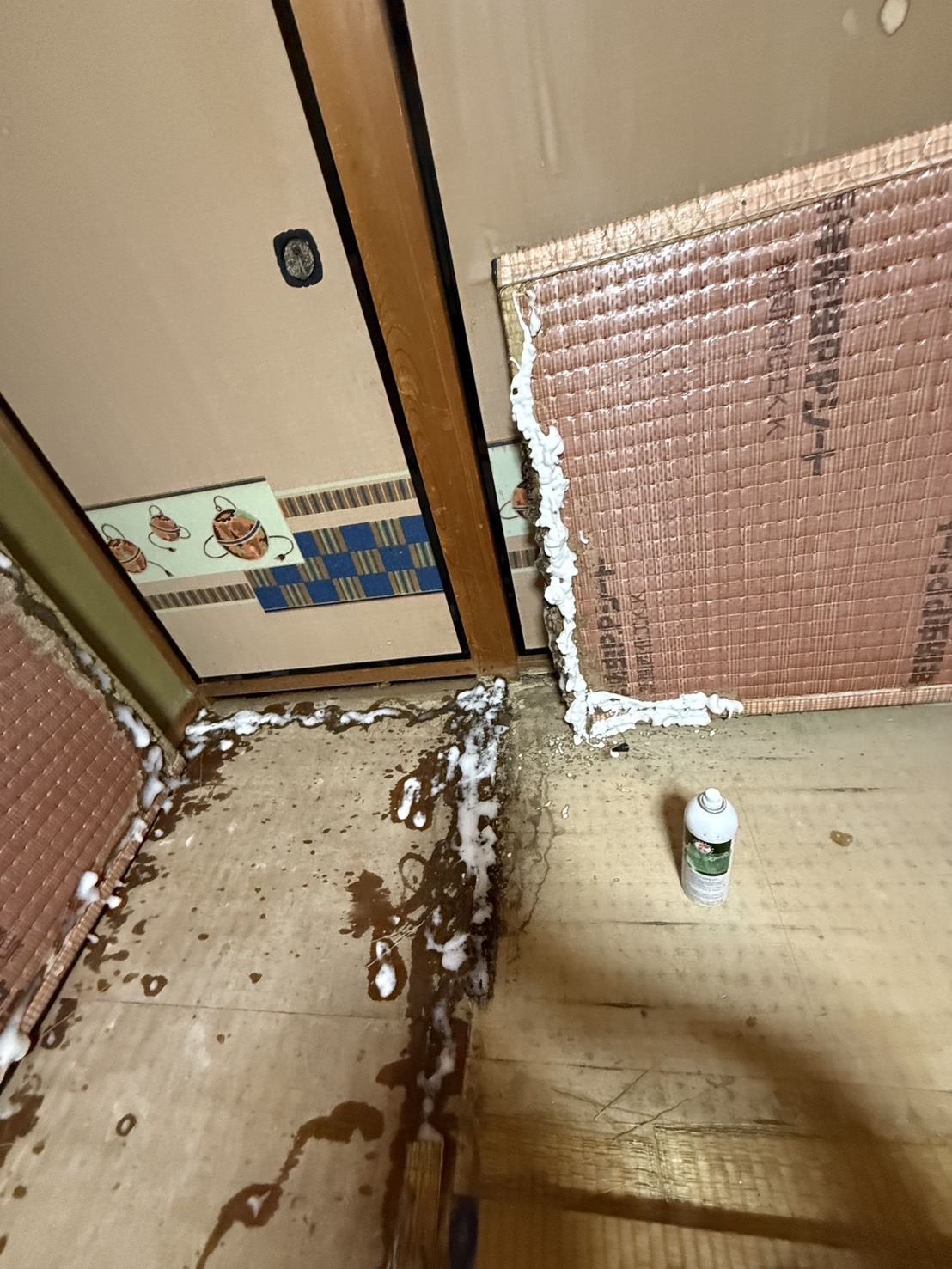 大阪府堺市｜2階和室の畳下にシロアリがびっしり。壁内を伝う「垂直侵攻」を即日食い止めた、精密穿孔注入による緊急防除録