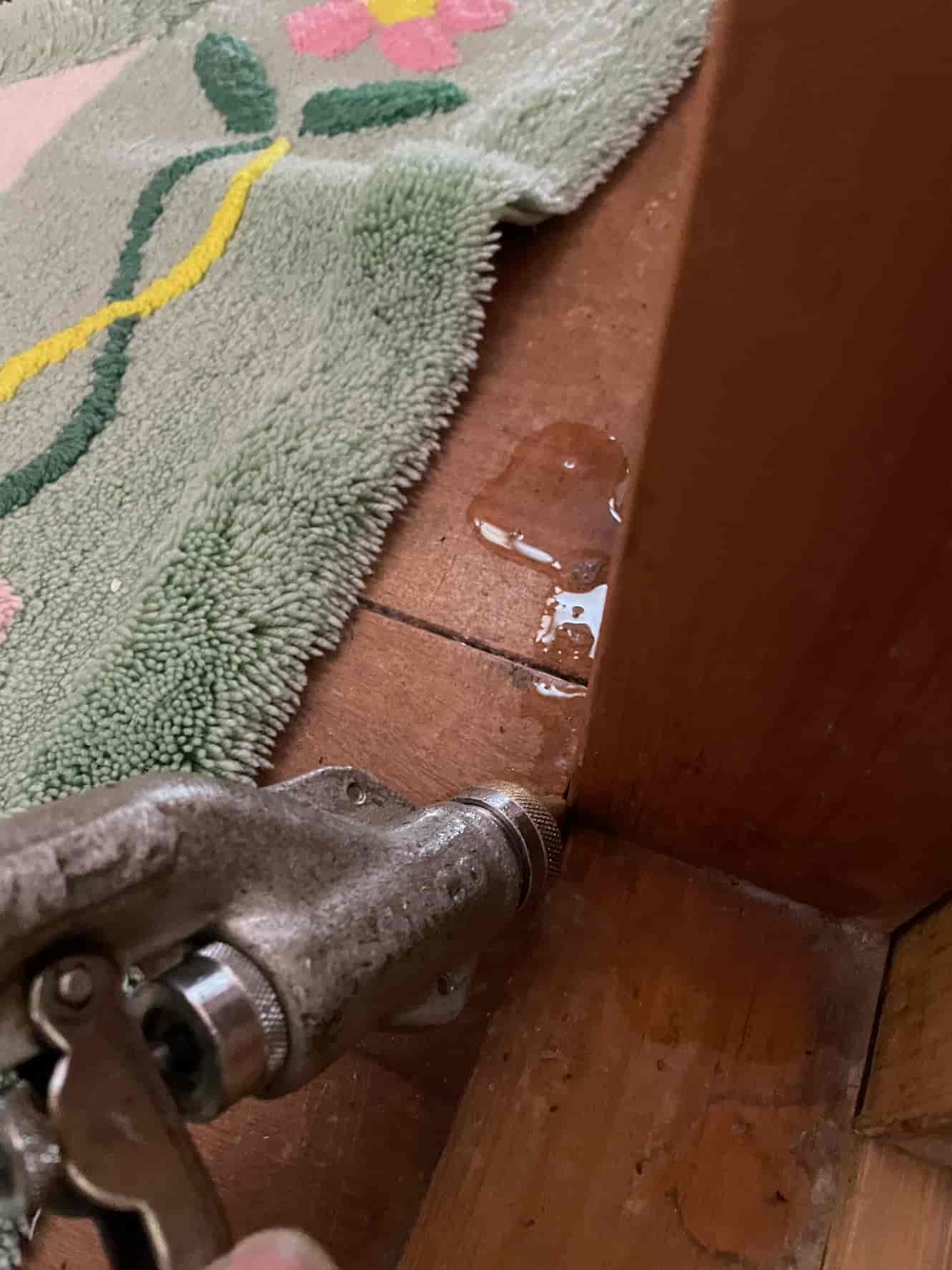 千葉県いすみ市｜「羽アリ＝シロアリ」とは限らない？プロの眼で見抜くクロアリの正体と、床下・壁内・外壁を包囲するトリプル防除完遂録