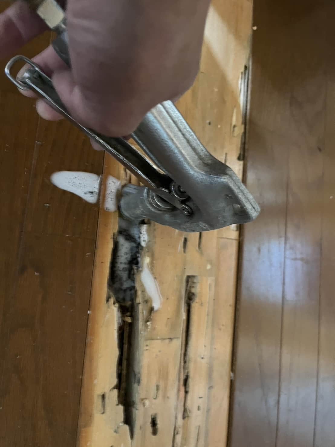 京都府京丹後市｜トイレに溢れ出した羽アリは「住まいのSOS」。深刻な三方枠の食害と床下の蟻道を根絶した徹底駆除録