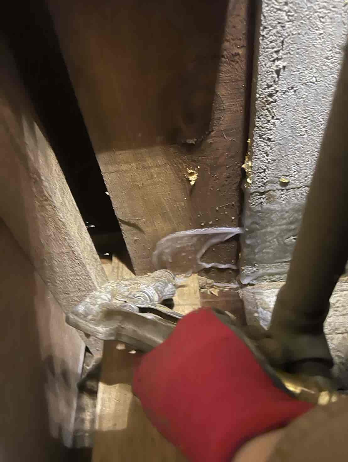 埼玉県鴻巣市｜押し入れの段ボール崩落が告げるSOS。床下の蟻道と玄関基礎を突く「ダブル穿孔注入」で建物を守り抜いた徹底駆除録