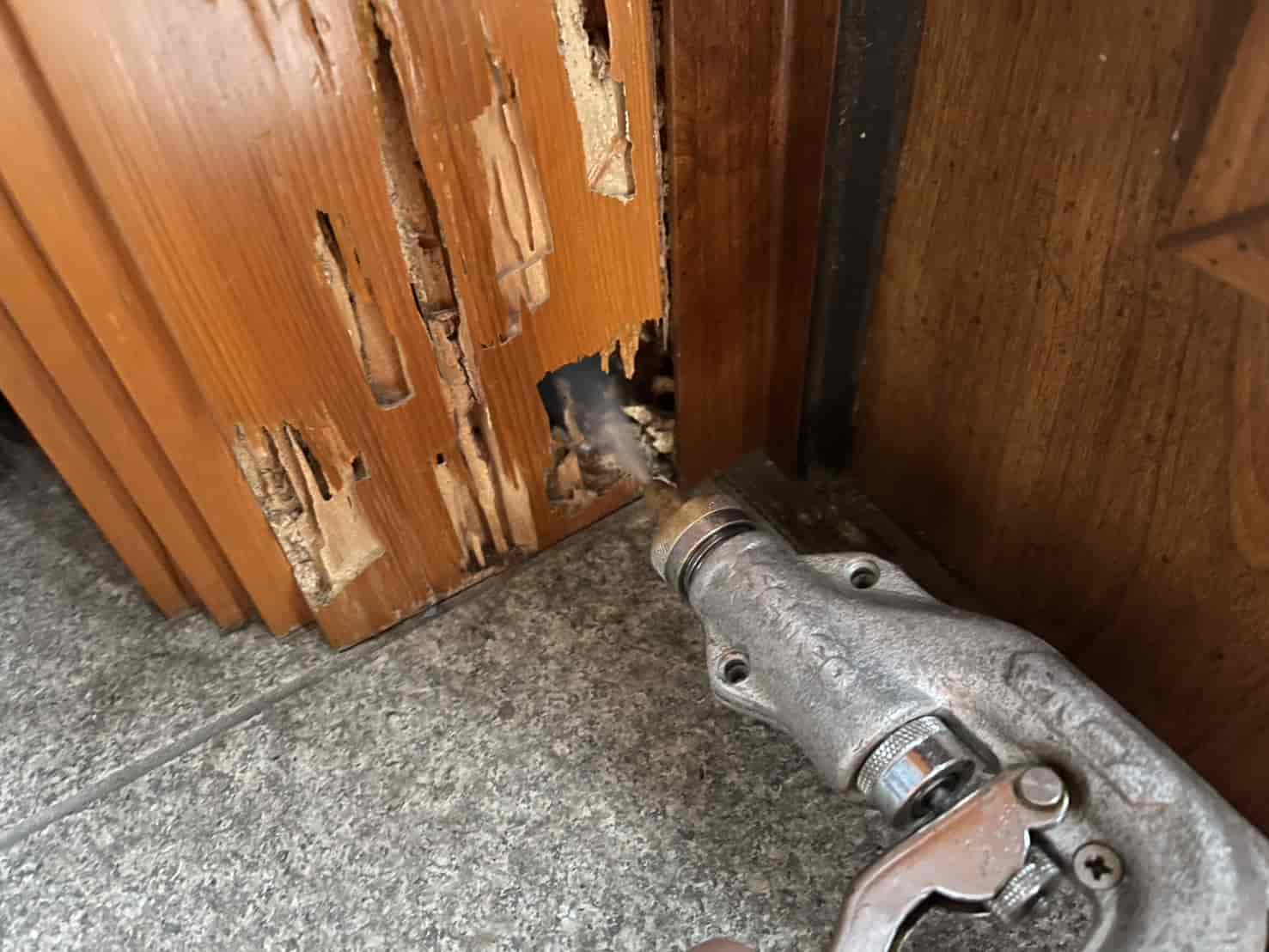 東京都墨田区｜玄関ドア枠の崩壊と壁内に潜む「静かな侵入」。精密穿孔注入と床下バリアで密集地の住まいを守る徹底駆除録