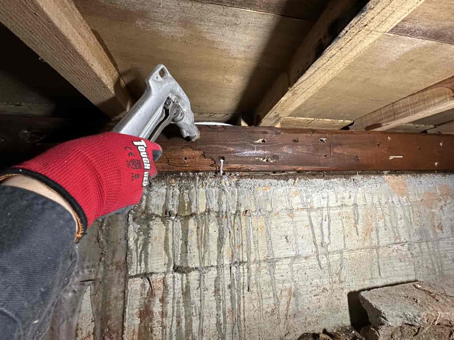 三重県松阪市｜浴室・勝手口を狙い撃つシロアリの猛威。タイル穿孔・木部注入・土壌散布を組み合わせた「三層防衛」による徹底制圧録