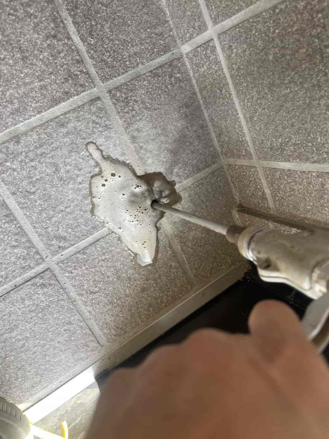 埼玉県坂戸市｜玄関框（かまち）を蝕むヤマトシロアリの軍勢。壁内への「垂直侵攻」を食い止める精密穿孔注入と鉄壁のバリア施工録