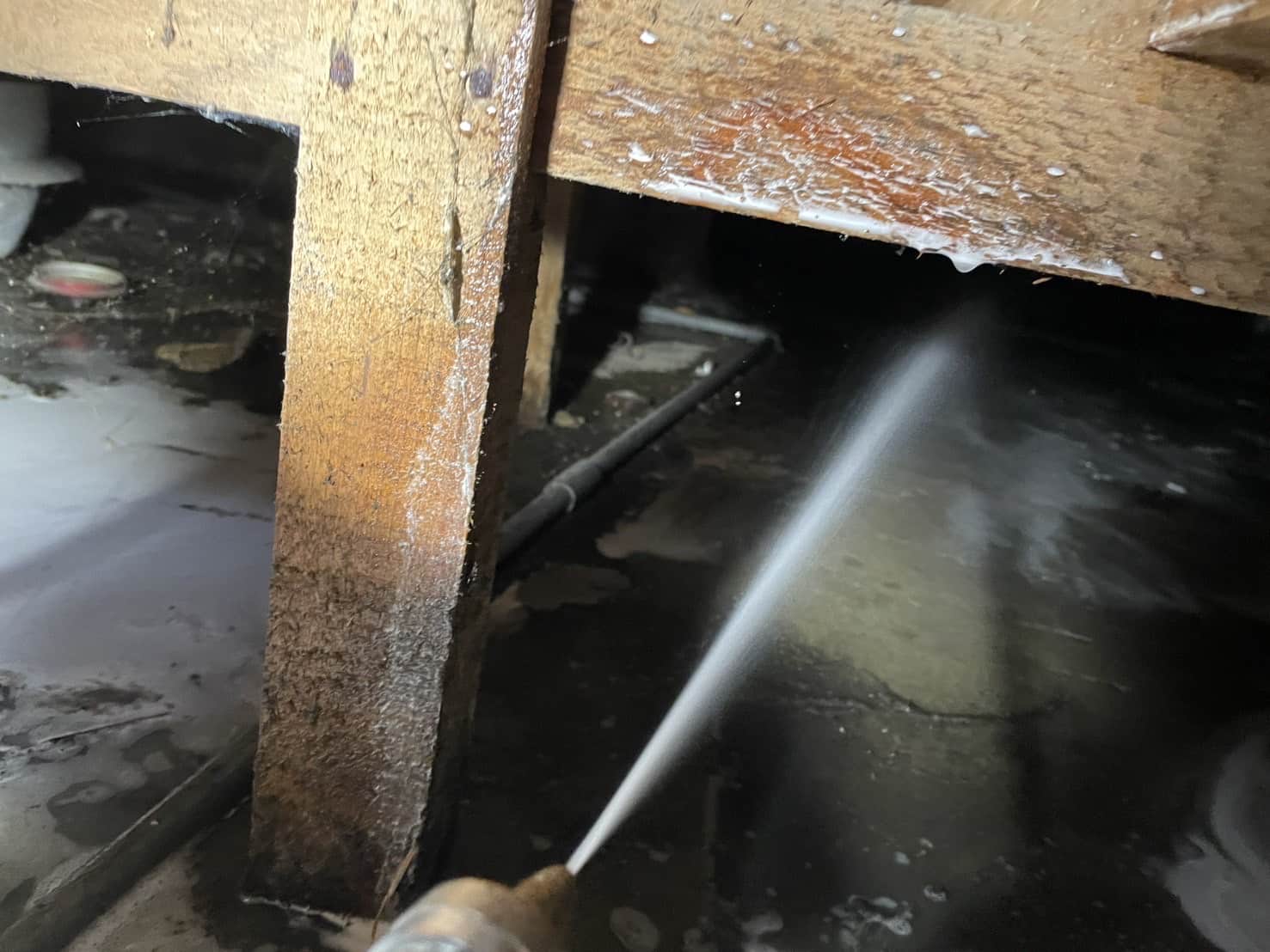 大阪市中央区｜天井裏の「パチパチ音」は建物の断末魔。階段・壁内を駆け上がるイエシロアリの垂直侵攻を、点検口新設と精密注入で完遂した総力防除録