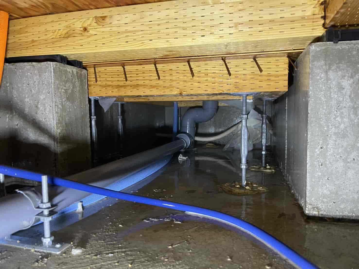 東京都練馬区｜築5年の中古住宅購入、防蟻履歴の「空白」を埋める。土壌と木部のWバリアで、大切な新生活をシロアリから死守した予防録