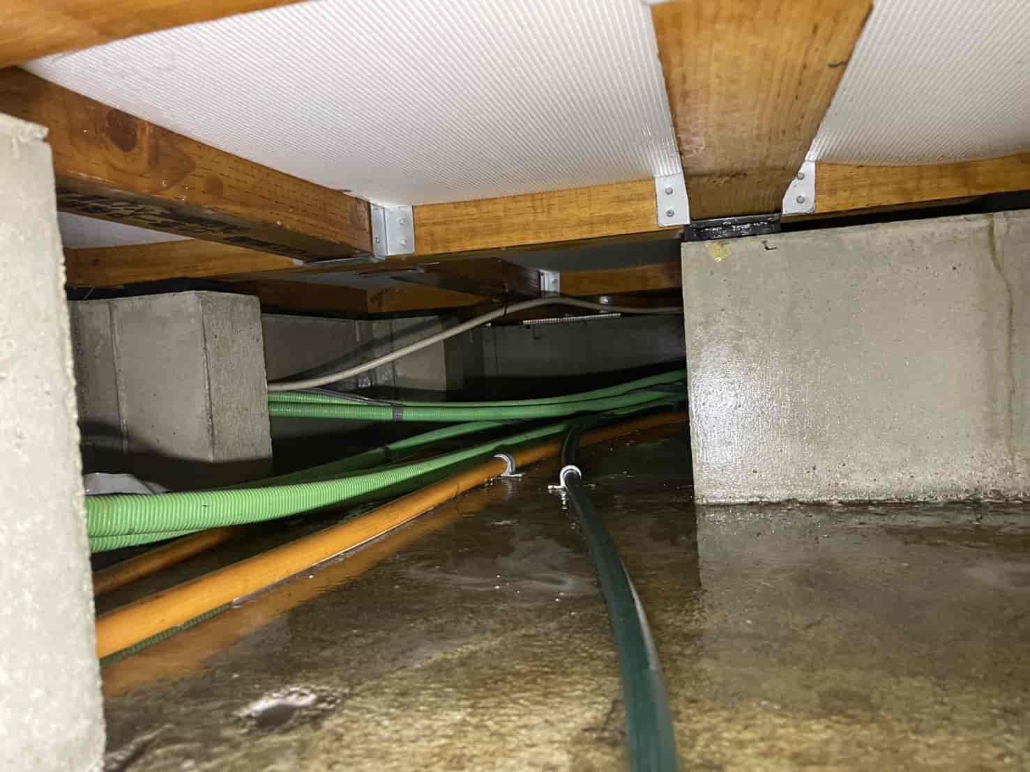 神奈川県綾瀬市｜築10年の「羽アリ」は住まいからの警告。食害ゼロの段階でバリアを再構築し、建物の健康寿命を延ばした防蟻更新録