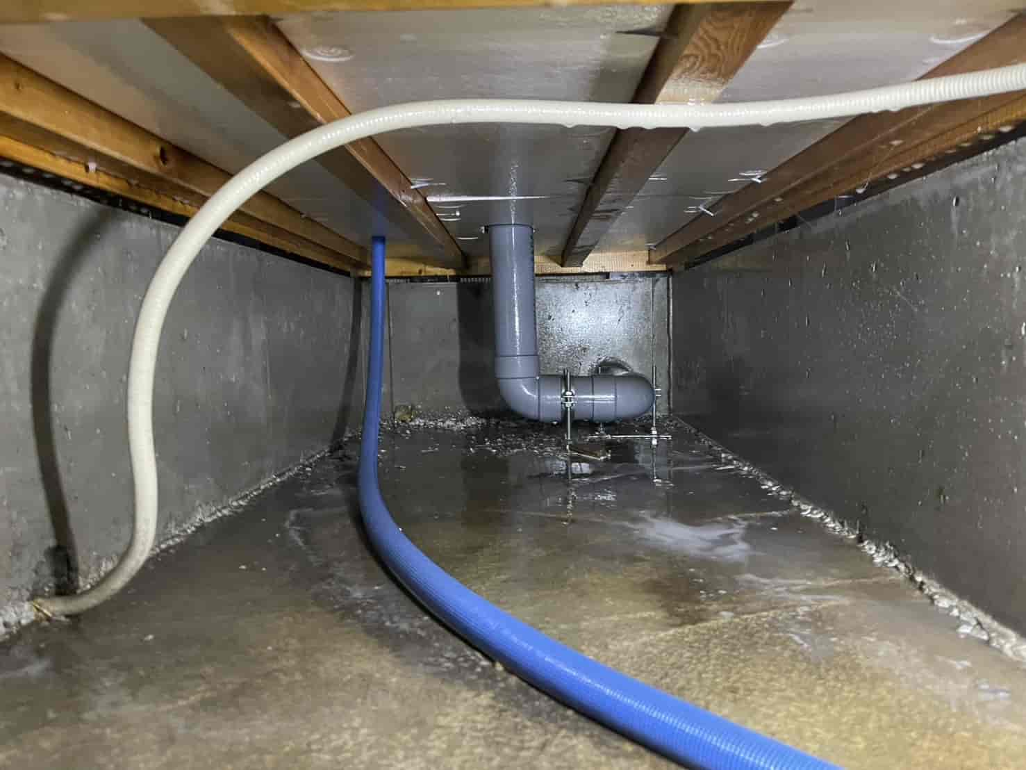 東京都武蔵村山市｜築10年の「予防保全」が住まいの資産価値を左右する。木部穿孔注入と土壌バリアで、沈黙の侵略者を5年先まで完封した防蟻更新録