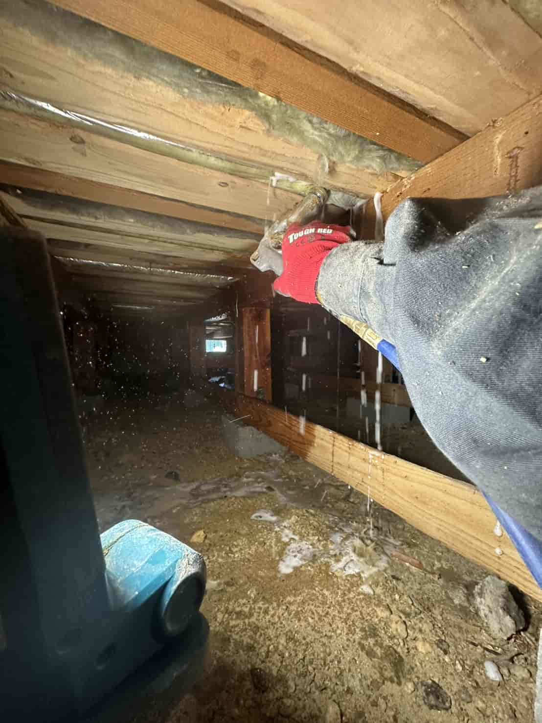 神戸市垂水区｜庭の羽アリは「床下崩壊」の序曲。大量発生したシロアリを穿孔注入で根絶し、防腐・防カビで環境を再定義した駆除録