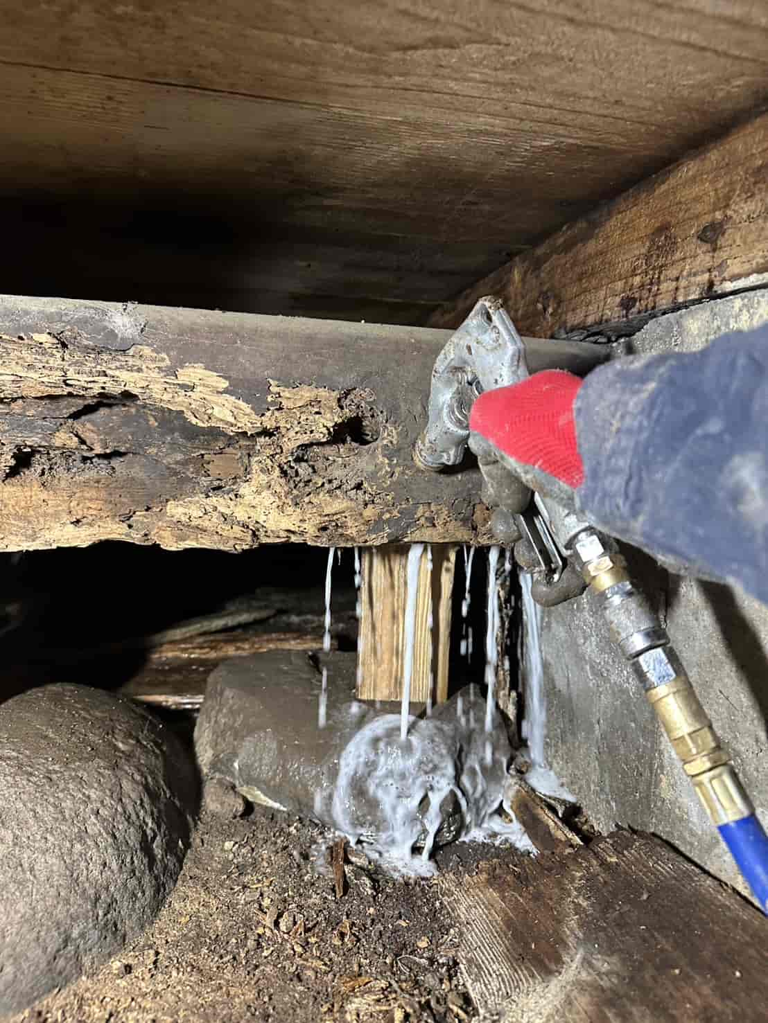 鳥取市国府町｜数年来の沈黙を破る「予算最適化型」の重度駆除。大規模家屋の重要構造部を穿孔注入で守り抜いた再生録