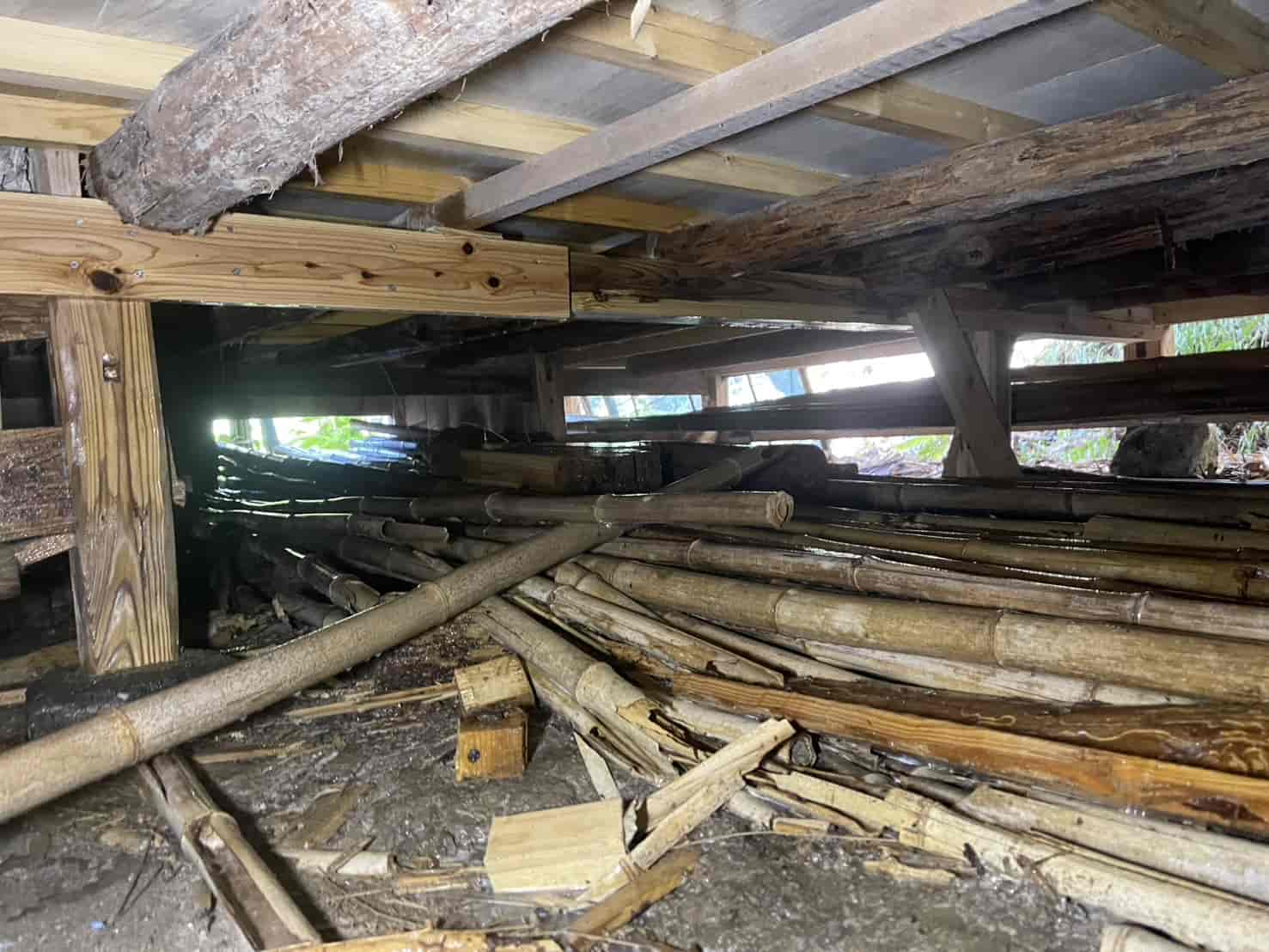 千葉県南房総市｜梁から舞う羽アリと床の沈み。ムース注入と構造部穿孔で、壁内に潜むシロアリを根絶した「外科的」駆除録