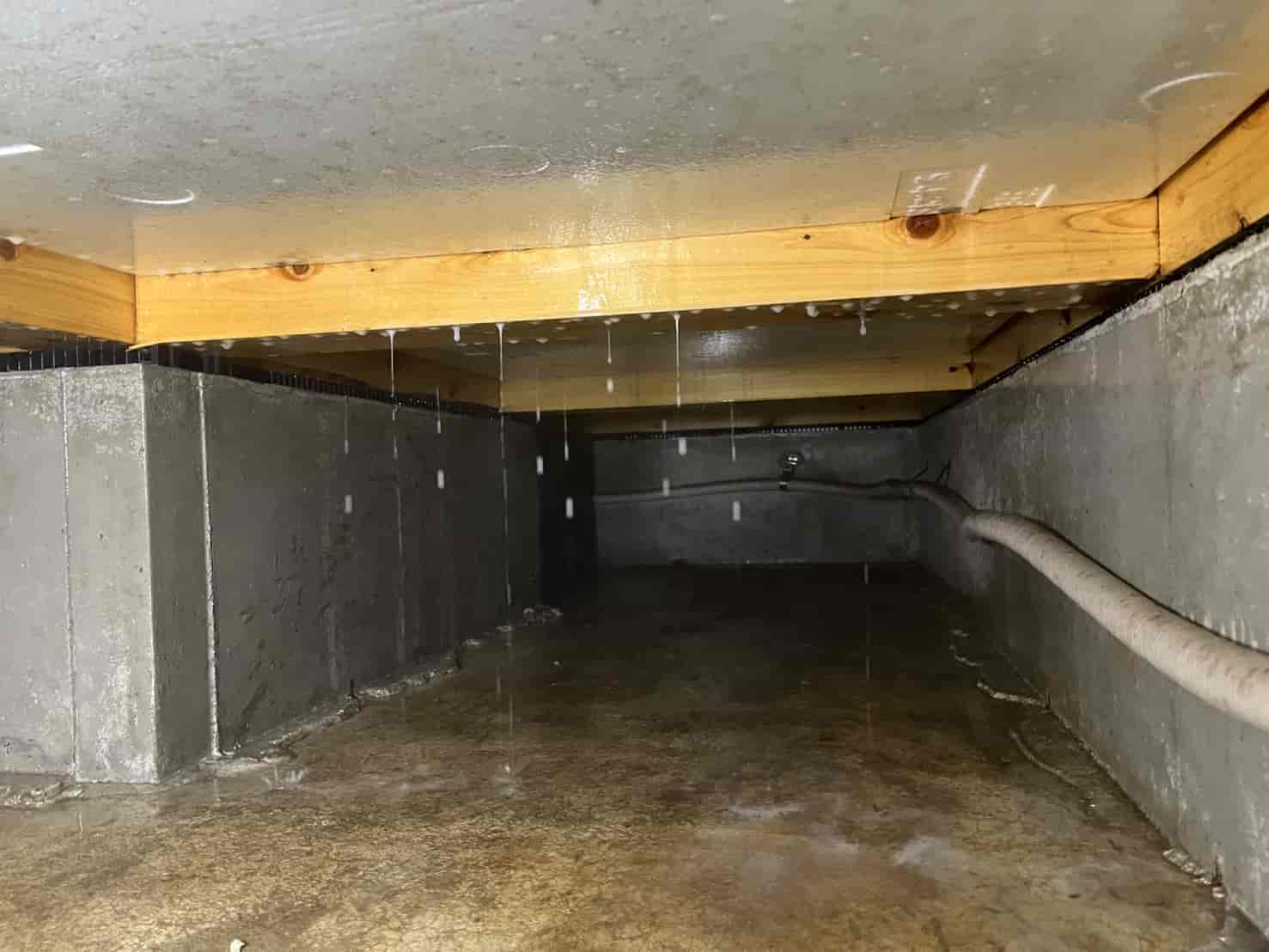 千葉県船橋市｜築6年の「運命の分かれ道」。保証切れ後の無防備な1年をリセットし、防腐・防カビを付加した鉄壁のバリア再構築録