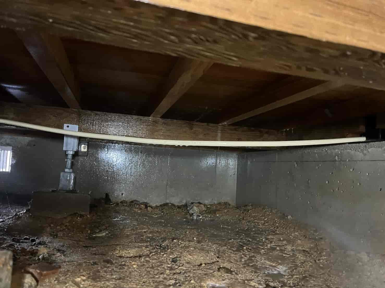 大阪府豊能町｜掘りごたつに潜む「一年中の食害」。空洞化した土台の補強と深部穿孔注入で、住まいの支持力を再生した駆除録