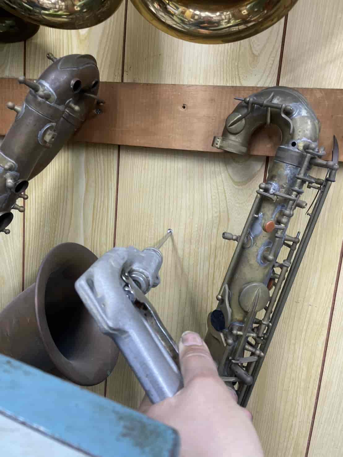 東京都板橋区｜改装物件の「密閉された床下」という死角。壁面注入工法で、建物深部のシロアリ軍団を精密狙撃した駆除録