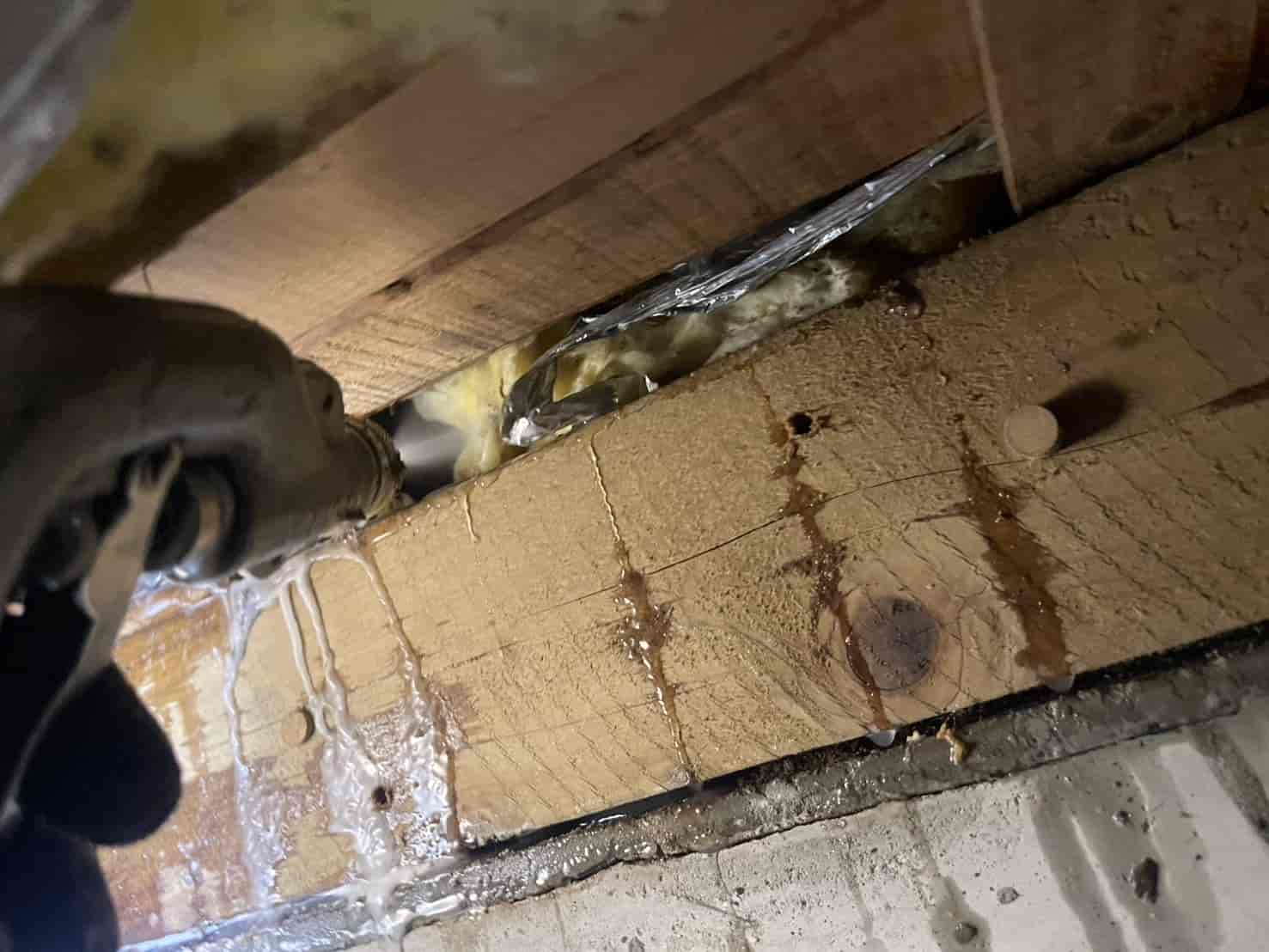 埼玉県入間市｜浴室扉の穴から暴かれた「水の道」。精密穿孔注入と板金リフォームで、水回りの構造欠陥を根底から治癒した駆除録