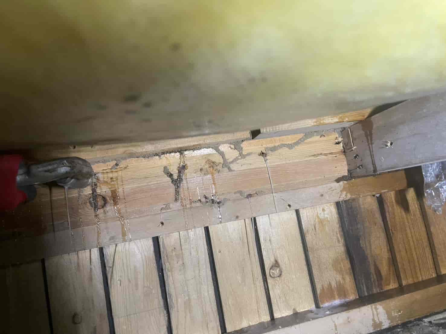 上尾市｜「玄関の沈み」は構造沈黙の悲鳴。穿孔注入と強制換気で挑む、住まいの健康寿命再生