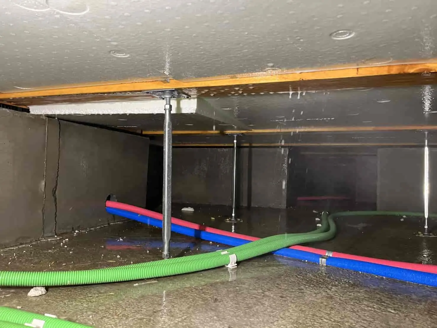 埼玉県坂戸市｜「5年の空白」が招く見えないバリアの消滅。ハウスメーカーの見積もりを超越する、構造重視の「予防・防腐」トータル処方